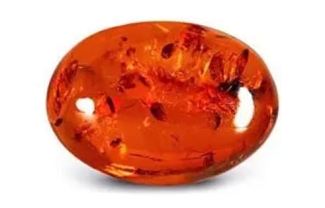 Amber (Trinamanishosha) — Sun gemstone for astrology in Navi Mumbai